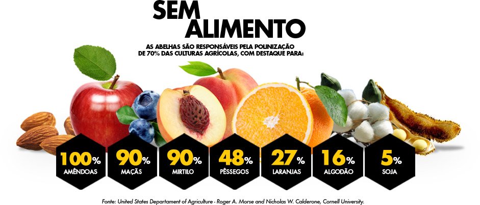 Quadro de polinização por abelhas nos alimentos